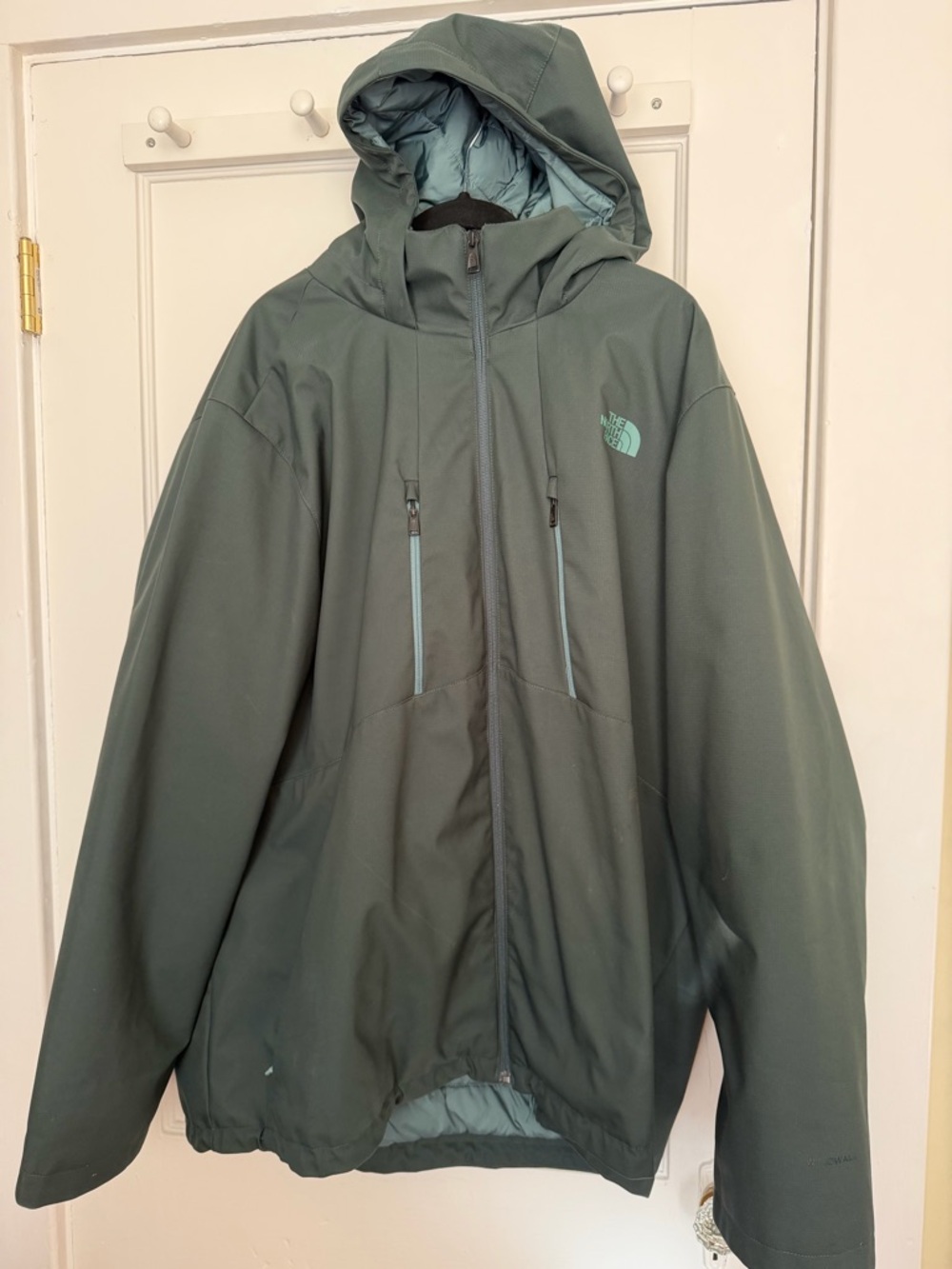 The North Face Men's Hooded Performance Jacket in Olive Green